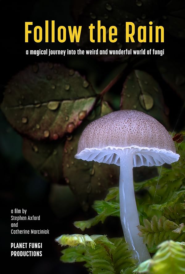 دانلود مستند باران را دنبال کن Follow the Rain 2024