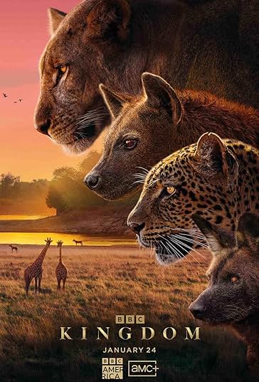 دانلود سریال Kingdom 2025 پادشاهی